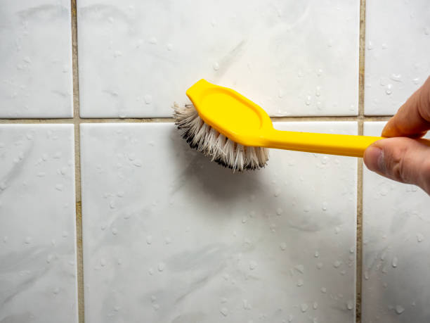 Best Certified Mold Removal  in Estero, FL